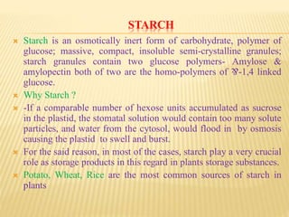 STARCH
 Starch is an osmotically inert form of carbohydrate, polymer of
glucose; massive, compact, insoluble semi-crystalline granules;
starch granules contain two glucose polymers- Amylose &
amylopectin both of two are the homo-polymers of ⅋-1,4 linked
glucose.
 Why Starch ?
 -If a comparable number of hexose units accumulated as sucrose
in the plastid, the stomatal solution would contain too many solute
particles, and water from the cytosol, would flood in by osmosis
causing the plastid to swell and burst.
 For the said reason, in most of the cases, starch play a very crucial
role as storage products in this regard in plants storage substances.
 Potato, Wheat, Rice are the most common sources of starch in
plants
 