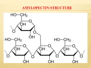 AMYLOPECTIN-STRUCTURE
 
