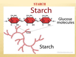 STARCH
 