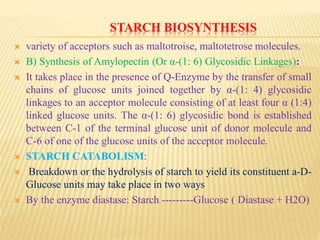 STARCH BIOSYNTHESIS
 variety of acceptors such as maltotroise, maltotetrose molecules.
 B) Synthesis of Amylopectin (Or α-(1: 6) Glycosidic Linkages):
 It takes place in the presence of Q-Enzyme by the transfer of small
chains of glucose units joined together by α-(1: 4) glycosidic
linkages to an acceptor molecule consisting of at least four α (1:4)
linked glucose units. The α-(1: 6) glycosidic bond is established
between C-1 of the terminal glucose unit of donor molecule and
C-6 of one of the glucose units of the acceptor molecule.
 STARCH CATABOLISM:
 Breakdown or the hydrolysis of starch to yield its constituent a-D-
Glucose units may take place in two ways
 By the enzyme diastase: Starch ---------Glucose ( Diastase + H2O)
 