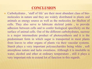 CONCLUSION
 Carbohydrates , ‘staff of life’ are their most abundant class of bio-
molecules in nature and they are widely distributed in plants and
animals as energy source as well as the molecules for Skelton of
cells. They also serve to lubricate skeletal joints , to provide
adhesion between cells and to confer biological specificity on the
surface of animal cells. Out of the different carbohydrates, sucrose
is a major intermediate product of photosynthesis and it is the
predominant form in which sugar is transported in most plants
from leaves to other organs of plants via their vascular systems.
Starch plays a very important polysaccharides being white , soft
amorphous nature and lacks sweetness. Although it is insoluble in
water, alcohol and ether at ordinary temperature , still it plays a
very important role to extend lot of function in this regards.
 