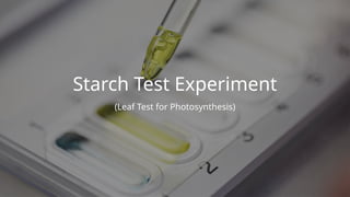 Testing For Starch Practical Starch Test Experiment .pptx