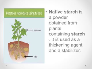 • Native starch is
a powder
obtained from
plants
containing starch
. It is used as a
thickening agent
and a stabilizer.
 