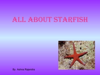 All about starfish By  Ashna Rajendra 