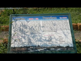 Star forest at thrissur