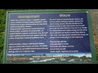 Star forest at thrissur