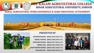 Dr. KALAM AGRICULTURAL COLLEGE
BIHAR AGRICULTURAL UNIVERSITY, SABOUR
RURAL AGRICULTURAL WORK EXPERIENCE & AGRO-INDUSTRIAL ATTACHMENT
PRESENTED BY
AMANISH KUMAR (DKAC/049/2016-17)
UJJWAL KUMAR (DKAC/048/2016-17)
SOURABH KUMAR (DKAC/057/2016-17)
UJJWAL RAJ (DKAC/051/2016-17)
RAM MANISH KUMAR (DKAC/047/2016-17)
ZULKAR NAIN (DKAC/040/2016-17)
 