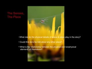 What role do the physical details of space & place play in the story? Could this story be told about any other place?  What is the relationship between the physical and nonphysical  elements of Starksboro? The Senses, The Place 