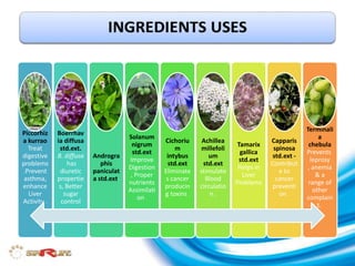 Piccorhiz 
a kurrao 
Treat 
digestive 
problems 
.Prevent 
asthma, 
enhance 
Liver 
Activity . 
Boerrhav 
ia diffusa 
std.ext. 
B. diffusa 
has 
diuretic 
propertie 
s, Better 
sugar 
control 
Androgra 
phis 
paniculat 
a std.ext. 
Solanum 
nigrum 
std.ext 
Improve 
Digestion 
, Proper 
nutrients 
Assimilati 
on . 
Cichoriu 
m 
intybus 
std.ext 
Eliminate 
s cancer 
producin 
g toxins . 
Achillea 
millefoli 
um 
std.ext 
stimulate 
Blood 
circulatio 
n . 
Tamarix 
gallica 
std.ext 
Helps in 
Liver 
Problems 
. 
Capparis 
spinosa 
std.ext - 
Contribut 
e to 
cancer 
preventi 
on . 
Terminali 
a 
chebula 
Prevents 
leprosy 
, anemia 
& a 
range of 
other 
complain 
t. 
