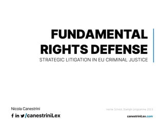FUNDAMENTAL
RIGHTS DEFENSE
STRATEGIC LITIGATION IN EU CRIMINAL JUSTICE
Hertie School, Starlight programme 2023
 