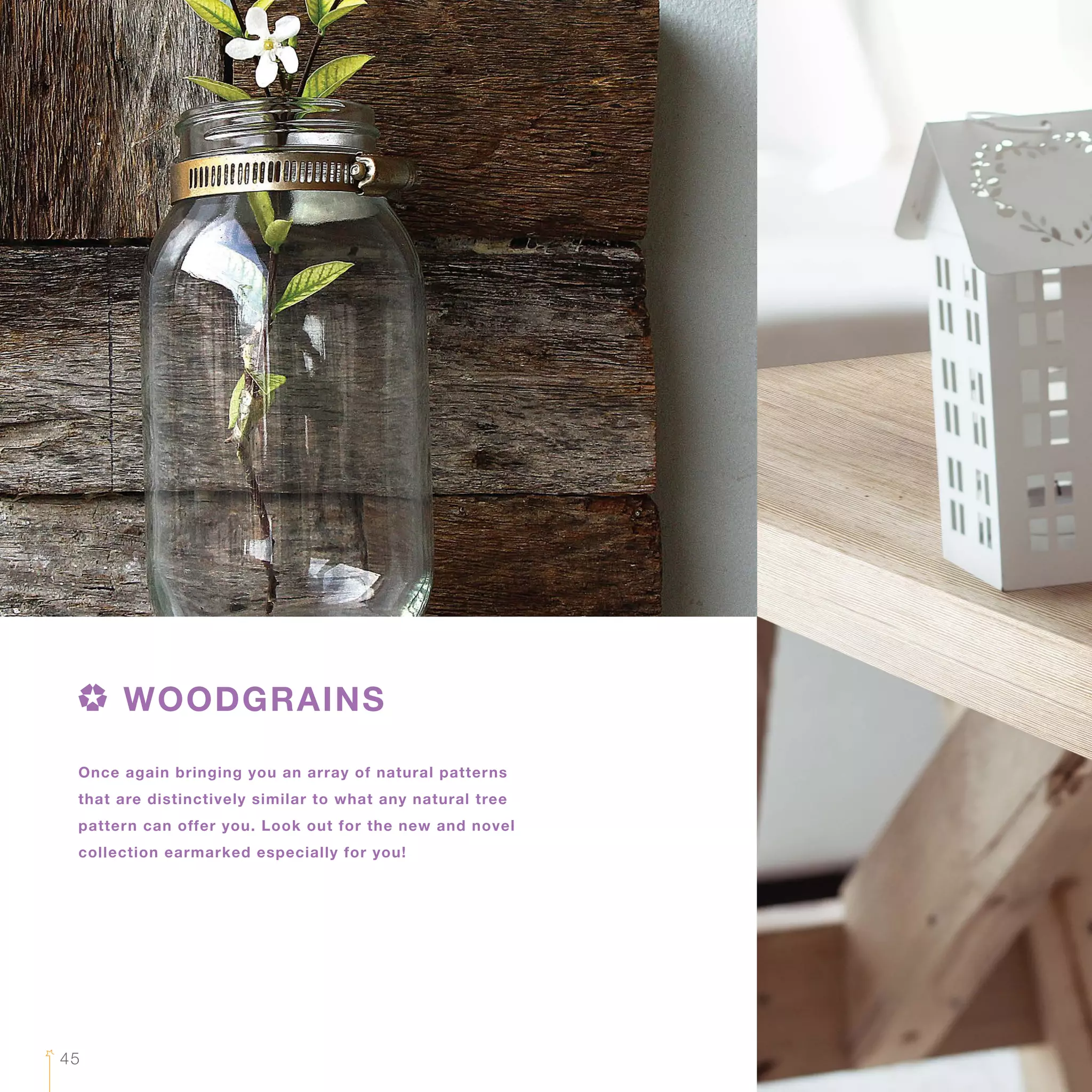 Once again bringing you an array of natural patterns
that are distinctively similar to what any natural tree
pattern can offer you. Look out for the new and novel
collection earmarked especially for you!
WOODGRAINS
45
 