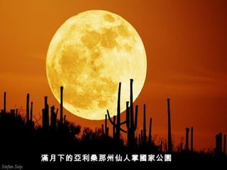 滿月下的亞利桑那州仙人掌國家公園
 