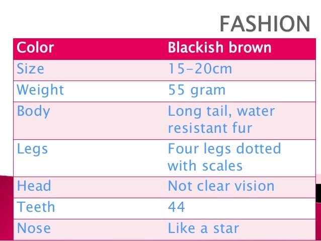 example of bad writing essay vocabulary