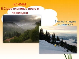 КЛИМАТ
В Стара планина лятото е
       прохладно

                           Зимата- студена
                             и снежна
 