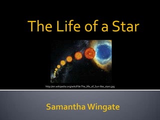 The Life of a Star http://en.wikipedia.org/wiki/File:The_life_of_Sun-like_stars.jpg Samantha Wingate 