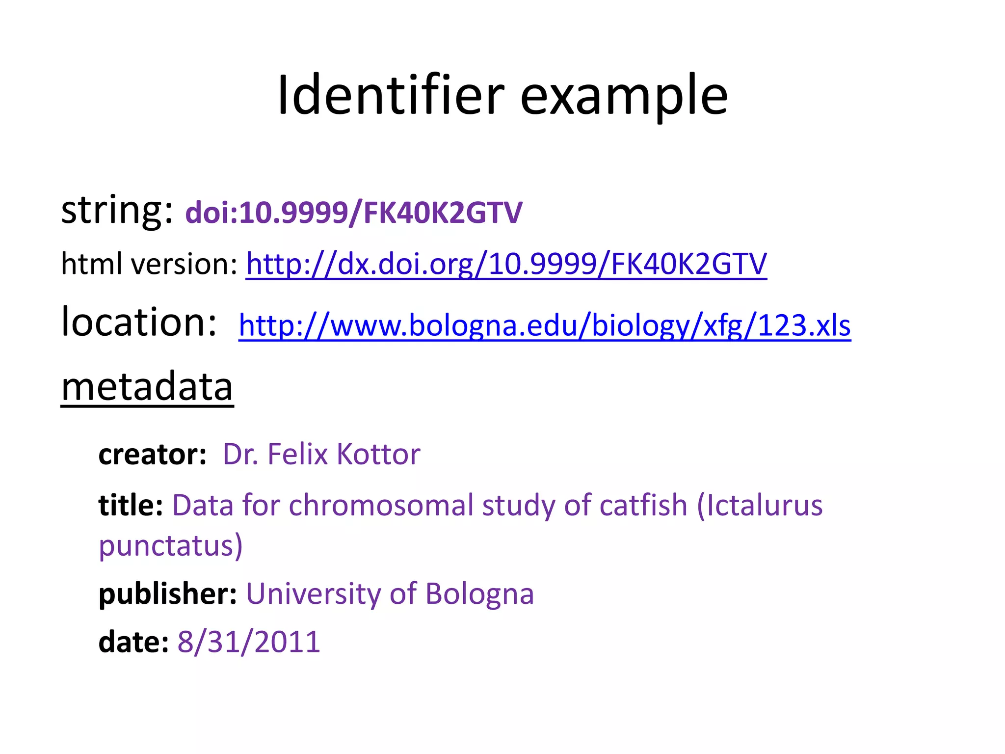 Identifier example
string: doi:10.9999/FK40K2GTV
html version: http://dx.doi.org/10.9999/FK40K2GTV
location: http://www.bologna.edu/biology/xfg/123.xls
metadata
  creator: Dr. Felix Kottor
  title: Data for chromosomal study of catfish (Ictalurus
  punctatus)
  publisher: University of Bologna
  date: 8/31/2011
 