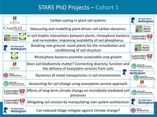 Soils Training And Research Studentships
Centre for Doctoral TrainingSTARS
STARS PhD Projects – Cohort 1
Carbon cycling in plant soil systems
Measuring and modelling plant-driven soil carbon dynamics
In-soil trophic interactions between plants, rhizosphere bacteria
and nematodes: improving availability of soil phosphorus
Breaking new ground: novel plants for the remediation and
conditioning of soil structure
Rhizosphere bacteria promote sustainable crop growth
Does soil biodiversity matter? Connecting diversity, function and
the delivery of ecosystem services from soils
Dynamics of metal nanoparticles in soil environments
Accounting for soil change using ecosystems service approach
Effects of long-term climate change on microbially-mediated soil
processes
Mitigating soil erosion by manipulating root system architecture
Can reduced tillage mitigate against climate change?
 