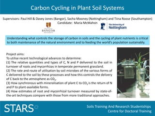Soils Training And Research Studentships
Centre for Doctoral TrainingSTARS
Carbon Cycling in Plant Soil Systems
Understanding what controls the storage of carbon in soils and the cycling of plant nutrients is critical
to both maintenance of the natural environment and to feeding the world’s population sustainably.
Supervisors: Paul Hill & Davey Jones (Bangor), Sacha Mooney (Nottingham) and Tiina Roose (Southampton)
Candidate: Maria McMahon
Project aims:
To utilise recent technological advances to determine:
(1) The relative quantities and types of C, N and P delivered to the soil in
turnover of roots and mycorrhizas in temperate permanent grassland.
(2) The rate and route of utilisation by soil microbes of the various forms of
C delivered to the soil by these processes and how this controls the delivery
of C back to the atmosphere as CO2.
(3) How synchronous with mineralisation of plant C to CO2 is the return of N
and P to plant-available forms.
(4) How estimates of root and mycorrhizal turnover measured by state-of-
the-art techniques compare with those from more traditional approaches.
 