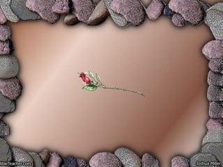 ZÀAzÀæAiÀiÁ£À -1
 