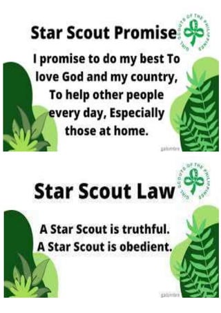 STAR Scout promise and law.docx