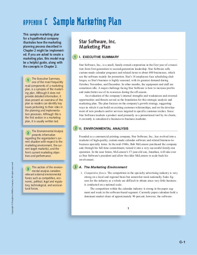 star software marketing plan market plan example