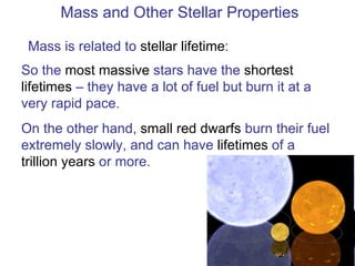 Mass and Other Stellar Properties So the  most massive  stars have the  shortest lifetimes  – they have a lot of fuel but burn it at a very rapid pace. On the other hand,  small red dwarfs  burn their fuel extremely slowly, and can have  lifetimes  of a  trillion years  or more. Mass is related to  stellar lifetime : 