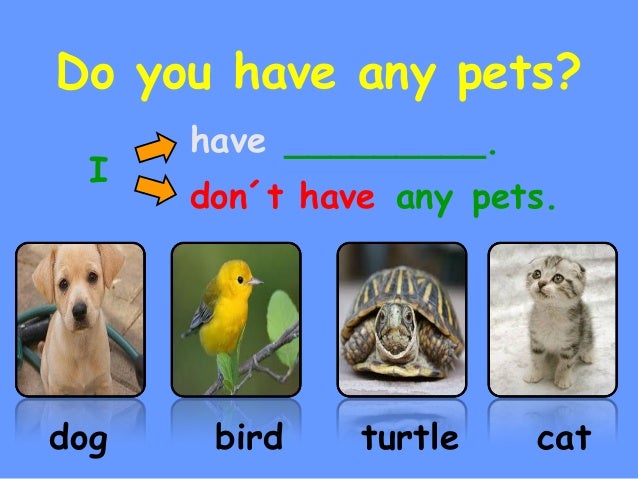 do you have any