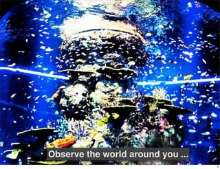 Observe the world around you ...
                                   4
 
