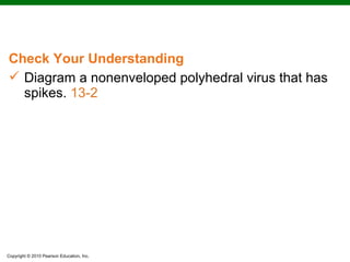 Check Your Understanding
 Diagram a nonenveloped polyhedral virus that has
  spikes. 13-2




Copyright © 2010 Pearson Education, Inc.
 