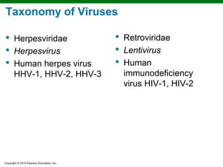 Taxonomy of Viruses

 Herpesviridae                             Retroviridae
 Herpesvirus                               Lentivirus
 Human herpes virus                        Human
  HHV-1, HHV-2, HHV-3                        immunodeficiency
                                             virus HIV-1, HIV-2




Copyright © 2010 Pearson Education, Inc.
 