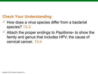 Check Your Understanding
 How does a virus species differ from a bacterial
  species? 13-3
 Attach the proper endings to Papilloma- to show the
  family and genus that includes HPV, the cause of
  cervical cancer. 13-4




Copyright © 2010 Pearson Education, Inc.
 