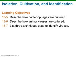 Isolation, Cultivation, and Identification

Learning Objectives
13-5 Describe how bacteriophages are cultured.
13-6 Describe how animal viruses are cultured.
13-7 List three techniques used to identify viruses.




Copyright © 2010 Pearson Education, Inc.
 