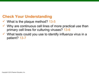 Check Your Understanding
 What is the plaque method? 13-5
 Why are continuous cell lines of more practical use than
  primary cell lines for culturing viruses? 13-6
 What tests could you use to identify influenza virus in a
  patient? 13-7




Copyright © 2010 Pearson Education, Inc.
 