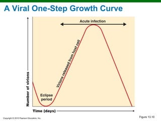 A Viral One-Step Growth Curve




Copyright © 2010 Pearson Education, Inc.
                                           Figure 13.10
 