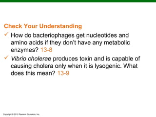 Check Your Understanding
 How do bacteriophages get nucleotides and
  amino acids if they don’t have any metabolic
  enzymes? 13-8
 Vibrio cholerae produces toxin and is capable of
  causing cholera only when it is lysogenic. What
  does this mean? 13-9




Copyright © 2010 Pearson Education, Inc.
 