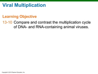 Viral Multiplication

Learning Objective
13-10 Compare and contrast the multiplication cycle
      of DNA- and RNA-containing animal viruses.




Copyright © 2010 Pearson Education, Inc.
 