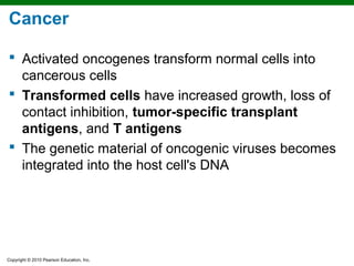 Cancer

 Activated oncogenes transform normal cells into
  cancerous cells
 Transformed cells have increased growth, loss of
  contact inhibition, tumor-specific transplant
  antigens, and T antigens
 The genetic material of oncogenic viruses becomes
  integrated into the host cell's DNA




Copyright © 2010 Pearson Education, Inc.
 