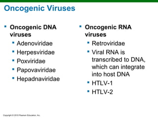 Oncogenic Viruses

 Oncogenic DNA                             Oncogenic RNA
  viruses                                    viruses
    Adenoviridae                              Retroviridae
    Herpesviridae                             Viral RNA is
    Poxviridae                                 transcribed to DNA,
    Papovaviridae                              which can integrate
                                                into host DNA
    Hepadnaviridae
                                               HTLV-1
                                               HTLV-2


Copyright © 2010 Pearson Education, Inc.
 