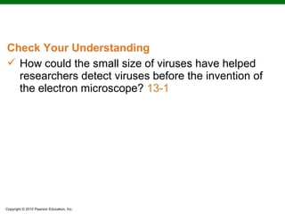 Check Your Understanding
 How could the small size of viruses have helped
  researchers detect viruses before the invention of
  the electron microscope? 13-1




Copyright © 2010 Pearson Education, Inc.
 