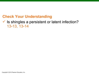 Check Your Understanding
 Is shingles a persistent or latent infection?
  13-13, 13-14




Copyright © 2010 Pearson Education, Inc.
 