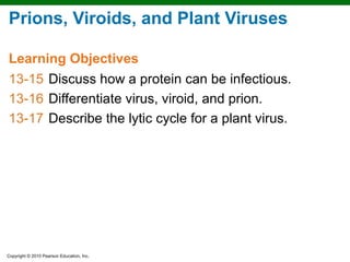 Prions, Viroids, and Plant Viruses

Learning Objectives
13-15 Discuss how a protein can be infectious.
13-16 Differentiate virus, viroid, and prion.
13-17 Describe the lytic cycle for a plant virus.




Copyright © 2010 Pearson Education, Inc.
 