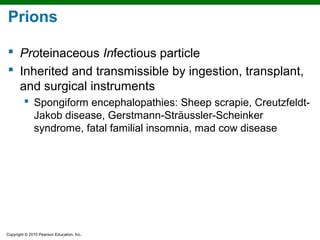 Prions

 Proteinaceous Infectious particle
 Inherited and transmissible by ingestion, transplant,
  and surgical instruments
          Spongiform encephalopathies: Sheep scrapie, Creutzfeldt-
           Jakob disease, Gerstmann-Sträussler-Scheinker
           syndrome, fatal familial insomnia, mad cow disease




Copyright © 2010 Pearson Education, Inc.
 