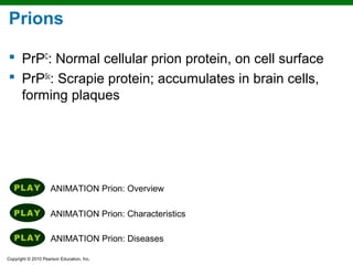 Prions

 PrPC: Normal cellular prion protein, on cell surface
 PrPSc: Scrapie protein; accumulates in brain cells,
  forming plaques




                    ANIMATION Prion: Overview

                    ANIMATION Prion: Characteristics

                     ANIMATION Prion: Diseases

Copyright © 2010 Pearson Education, Inc.
 