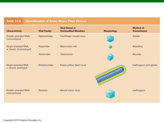 Copyright © 2010 Pearson Education, Inc.
 