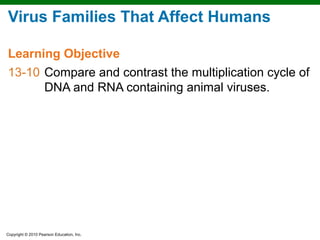 Virus Families That Affect Humans

Learning Objective
13-10 Compare and contrast the multiplication cycle of
      DNA and RNA containing animal viruses.




Copyright © 2010 Pearson Education, Inc.
 