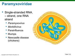 Paramyxoviridae

 Single-stranded RNA,
  – strand, one RNA
  strand
             Paramyxovirus
             Morbillivirus
             Parainfluenza
             Mumps
             Newcastle disease
              (chickens)




Copyright © 2010 Pearson Education, Inc.   Table 13.2
 