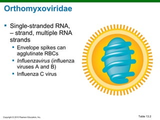 Orthomyxoviridae

 Single-stranded RNA,
  – strand, multiple RNA
  strands
          Envelope spikes can
           agglutinate RBCs
          Influenzavirus (influenza
           viruses A and B)
          Influenza C virus




Copyright © 2010 Pearson Education, Inc.   Table 13.2
 