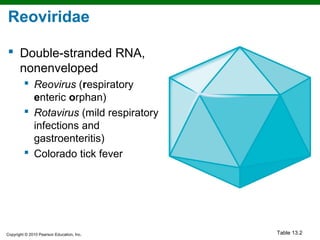 Reoviridae

 Double-stranded RNA,
  nonenveloped
          Reovirus (respiratory
           enteric orphan)
          Rotavirus (mild respiratory
           infections and
           gastroenteritis)
          Colorado tick fever




Copyright © 2010 Pearson Education, Inc.   Table 13.2
 