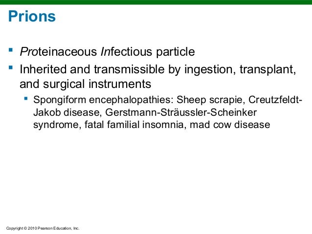 an overview of the mad cow disease or scrapie Although no cure for these diseases -- which include scrapie, mad cow disease, and chronic wasting disease -- is on the horizon, many research groups in both the. an overview of the mad cow disease or scrapie Although no cure for these diseases -- which include scrapie, mad cow disease, and chronic wasting disease -- is on the horizon, many research groups in both the.