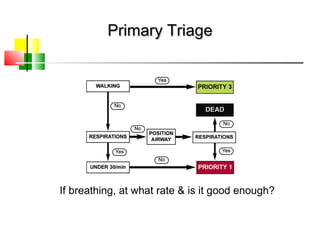 Primary TriagePrimary Triage
If breathing, at what rate & is it good enough?
 